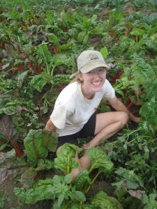 Corinne—former WWOOFer, current apprentice, and now also farmer-in-her-own-right —weeding the fall chard.   